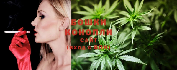 сатива Карталы