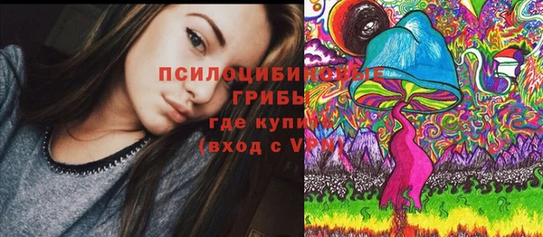 МДПВ Карпинск