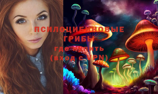сатива Карталы
