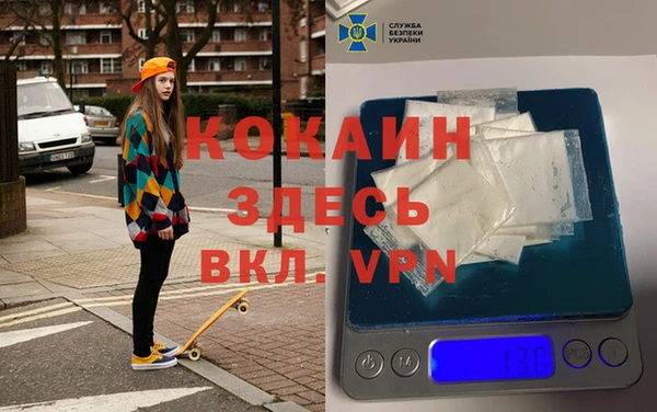 сатива Карталы