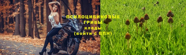 МДПВ Карпинск