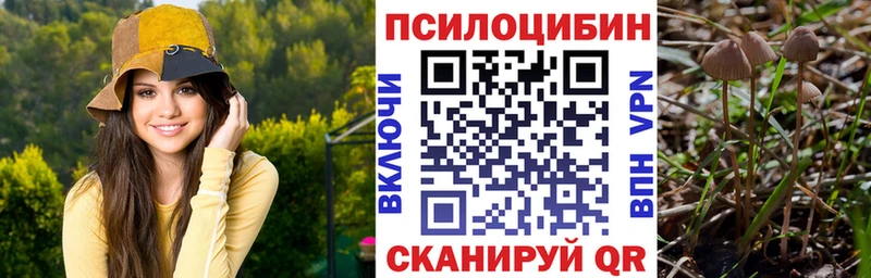 Галлюциногенные грибы Psilocybine cubensis  Купить закладки  Боровичи 